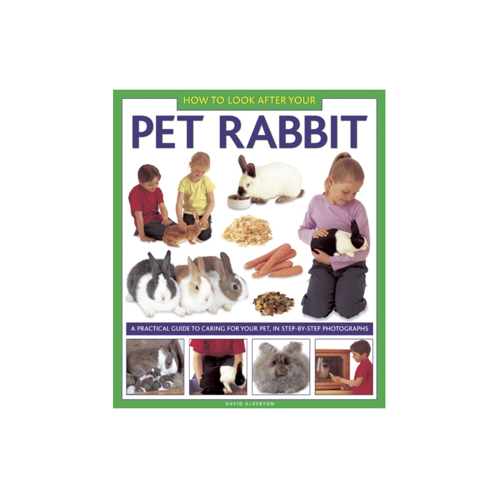 Produktbild för How to Look After Your Pet Rabbit (inbunden, eng)