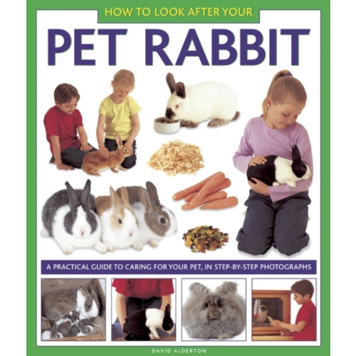 Anness publishing How to Look After Your Pet Rabbit (inbunden, eng)