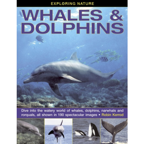 Anness publishing Exploring Nature: Whales & Dolphins (inbunden, eng)