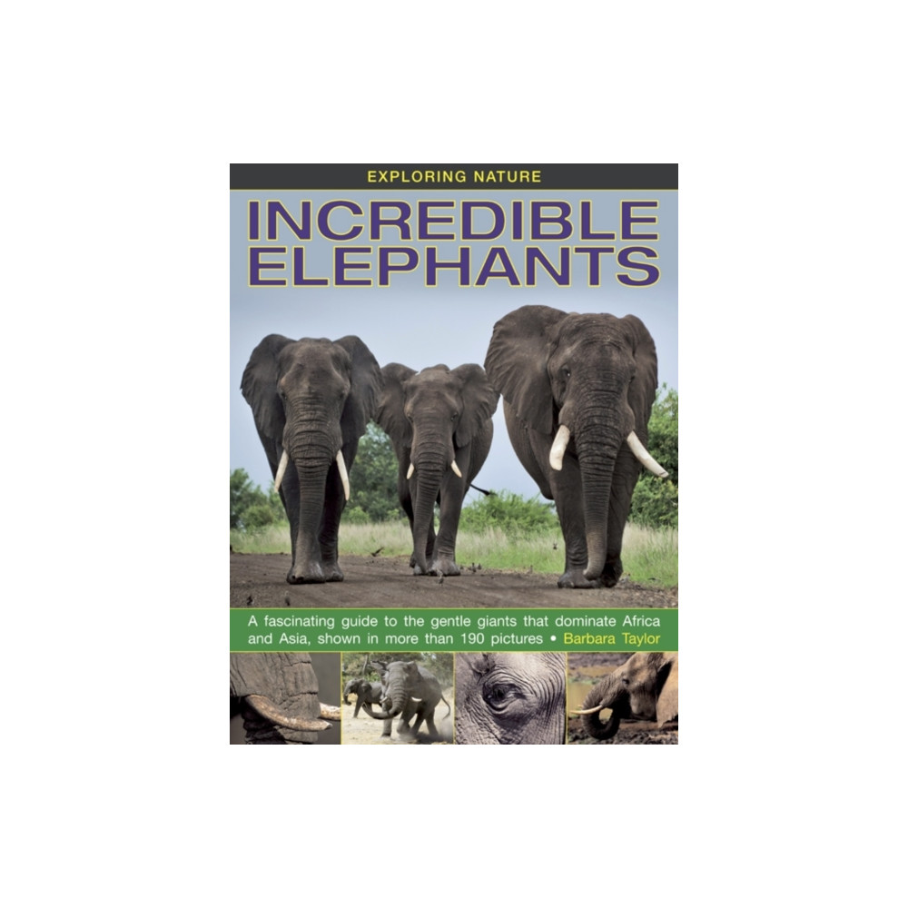 Produktbild för Exploring Nature: Incredible Elephants (inbunden, eng)