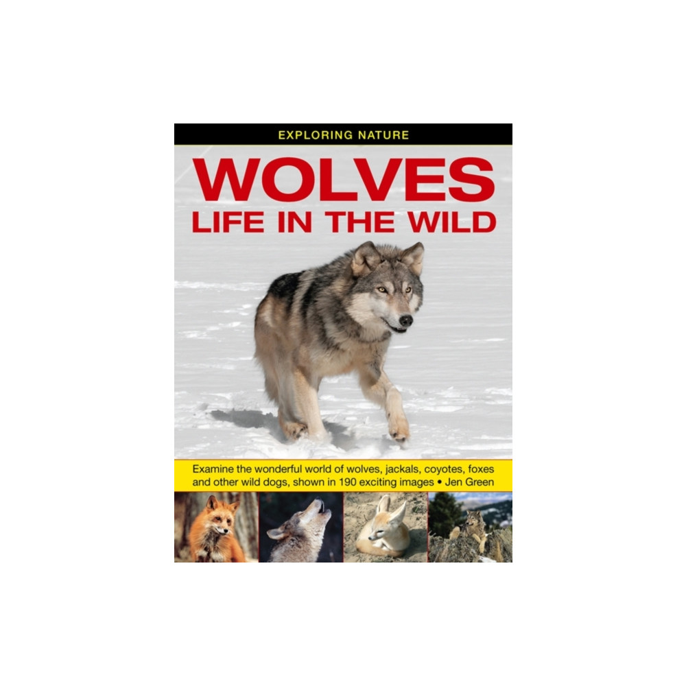 Produktbild för Exploring Nature: Wolves - Life in the Wild (inbunden, eng)