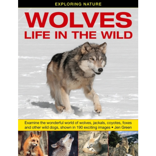 Anness publishing Exploring Nature: Wolves - Life in the Wild (inbunden, eng)