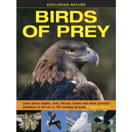 Anness publishing Exploring Nature: Birds of Prey (inbunden, eng)