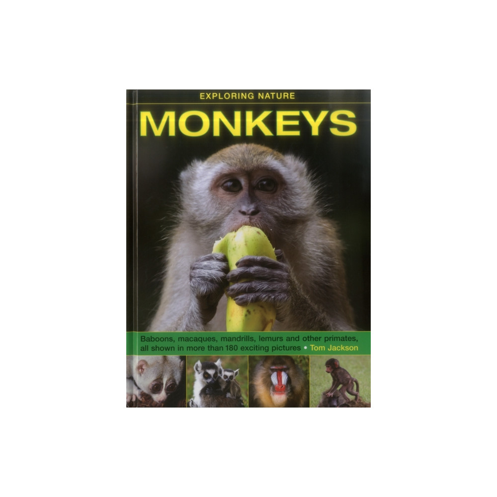 Produktbild för Exploring Nature: Monkeys (inbunden, eng)