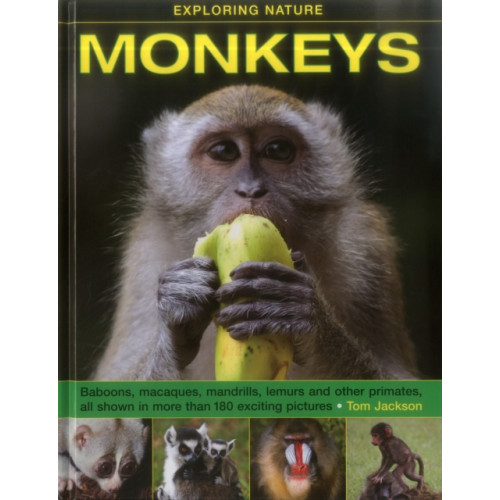 Anness publishing Exploring Nature: Monkeys (inbunden, eng)