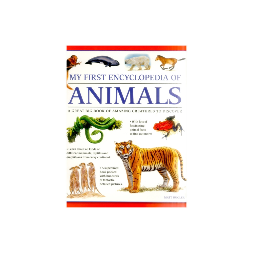 Produktbild för My First Encyclopedia of Animals (giant Size) (häftad, eng)
