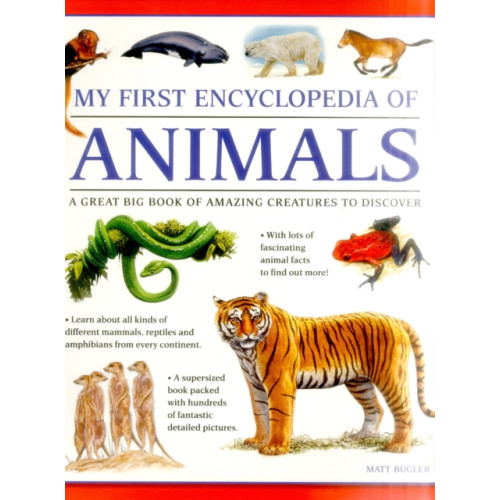 Anness publishing My First Encyclopedia of Animals (giant Size) (häftad, eng)