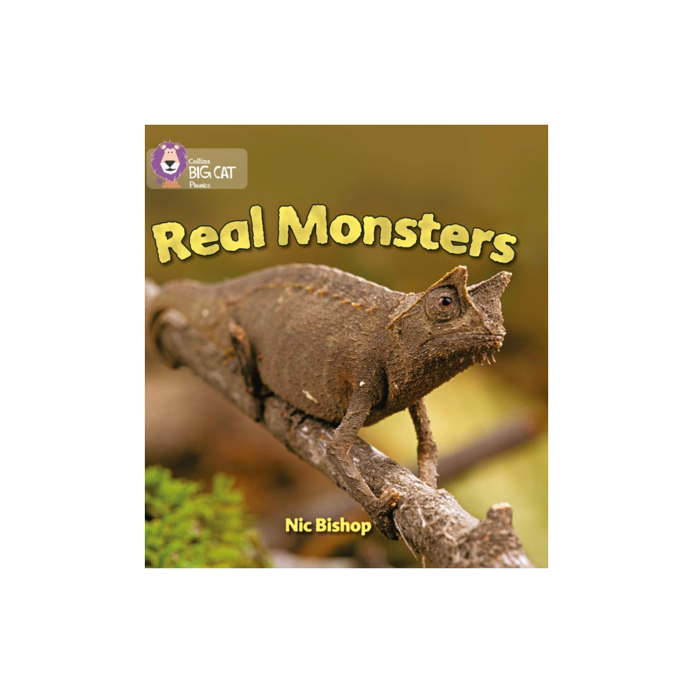 Produktbild för Real Monsters (häftad, eng)