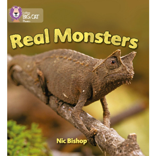 HarperCollins Publishers Real Monsters (häftad, eng)