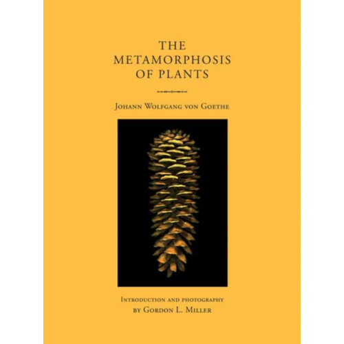 Mit press ltd The Metamorphosis of Plants (häftad, eng)