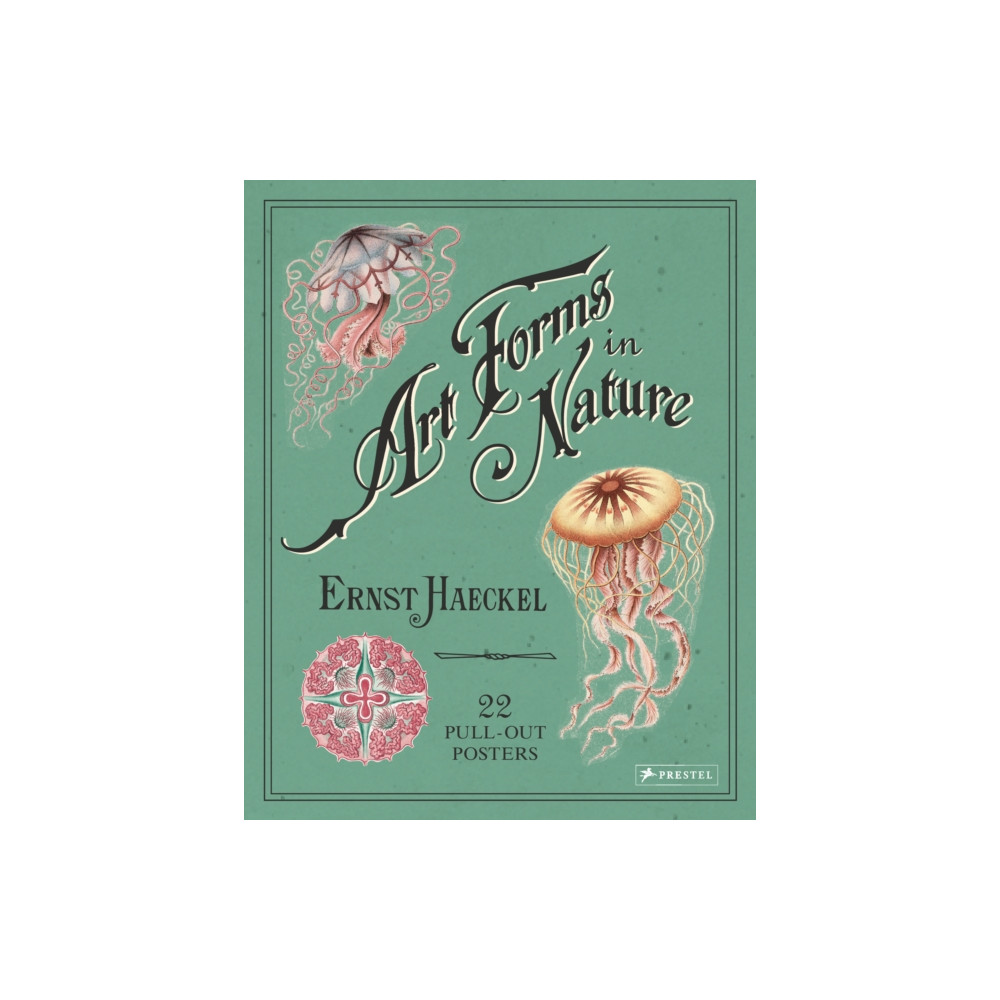 Produktbild för Ernst Haeckel: Art Forms in Nature: 22 Pull-Out Posters (häftad, eng)