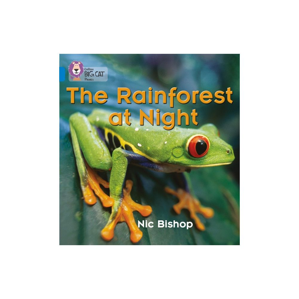 Produktbild för The Rainforest at Night (häftad, eng)