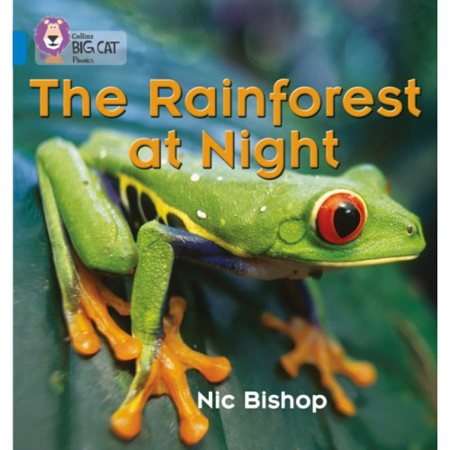 HarperCollins Publishers The Rainforest at Night (häftad, eng)