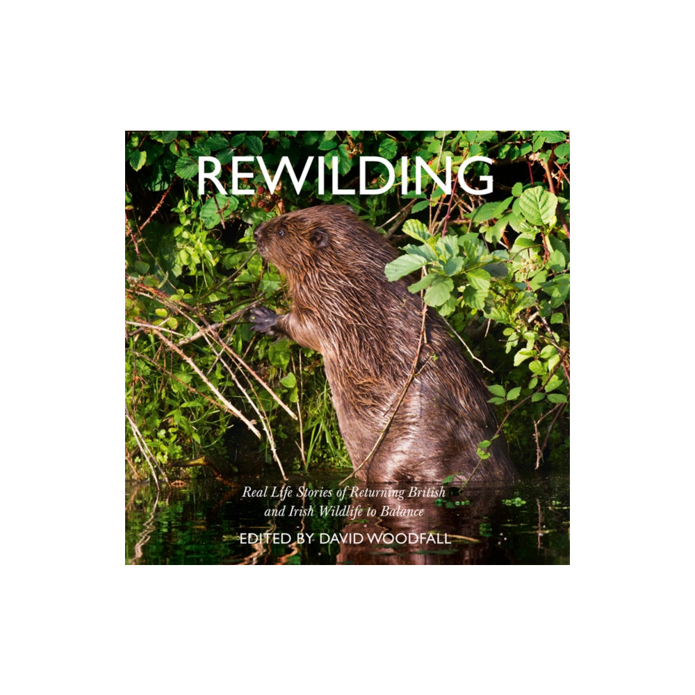 Produktbild för Rewilding (häftad, eng)