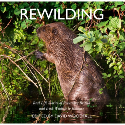 HarperCollins Publishers Rewilding (häftad, eng)