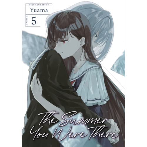 Seven Seas Entertainment, LLC The Summer You Were There Vol. 5 (häftad, eng)