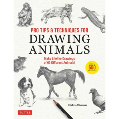 Tuttle Publishing Pro Tips & Techniques for Drawing Animals (häftad, eng)