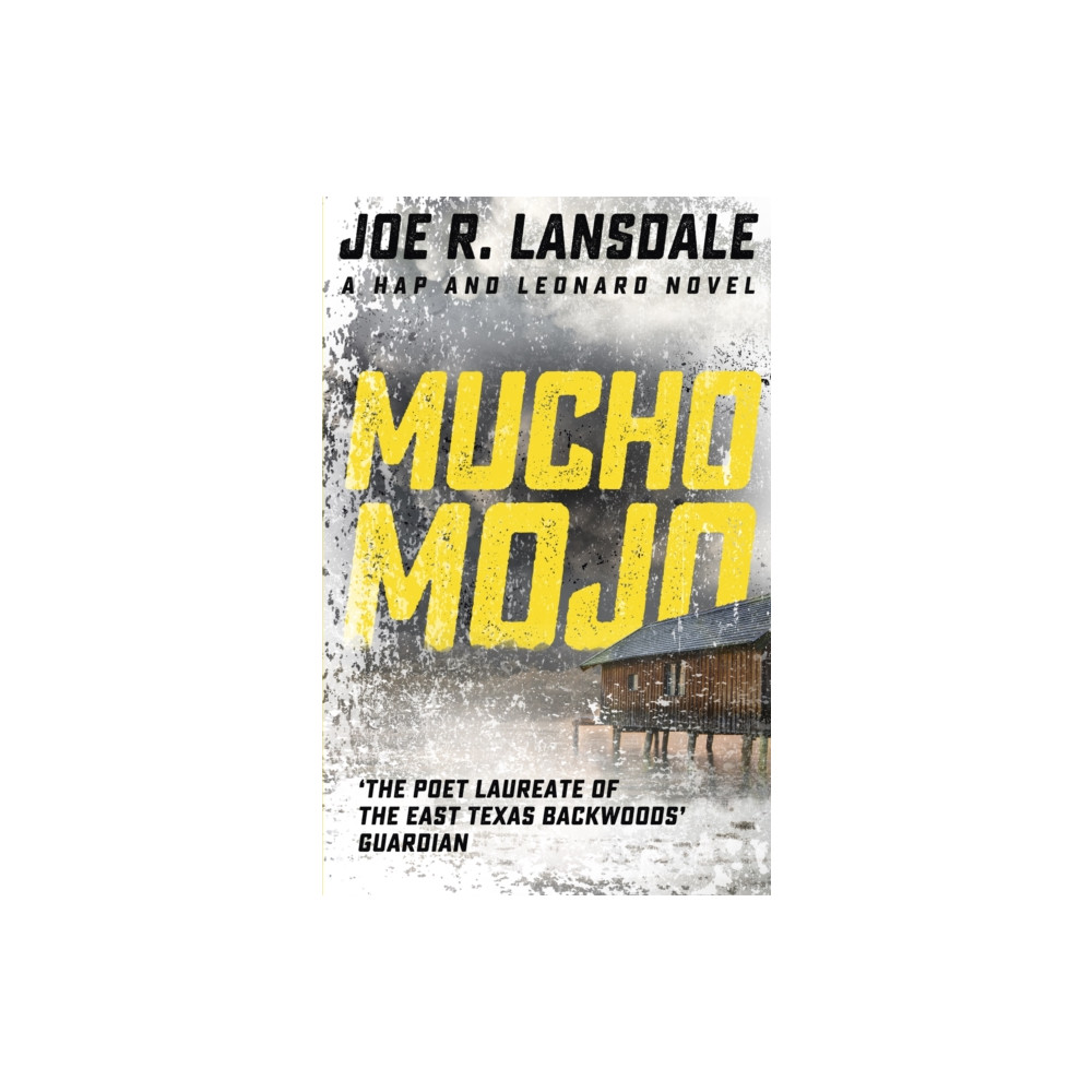 Produktbild för Mucho Mojo (häftad, eng)