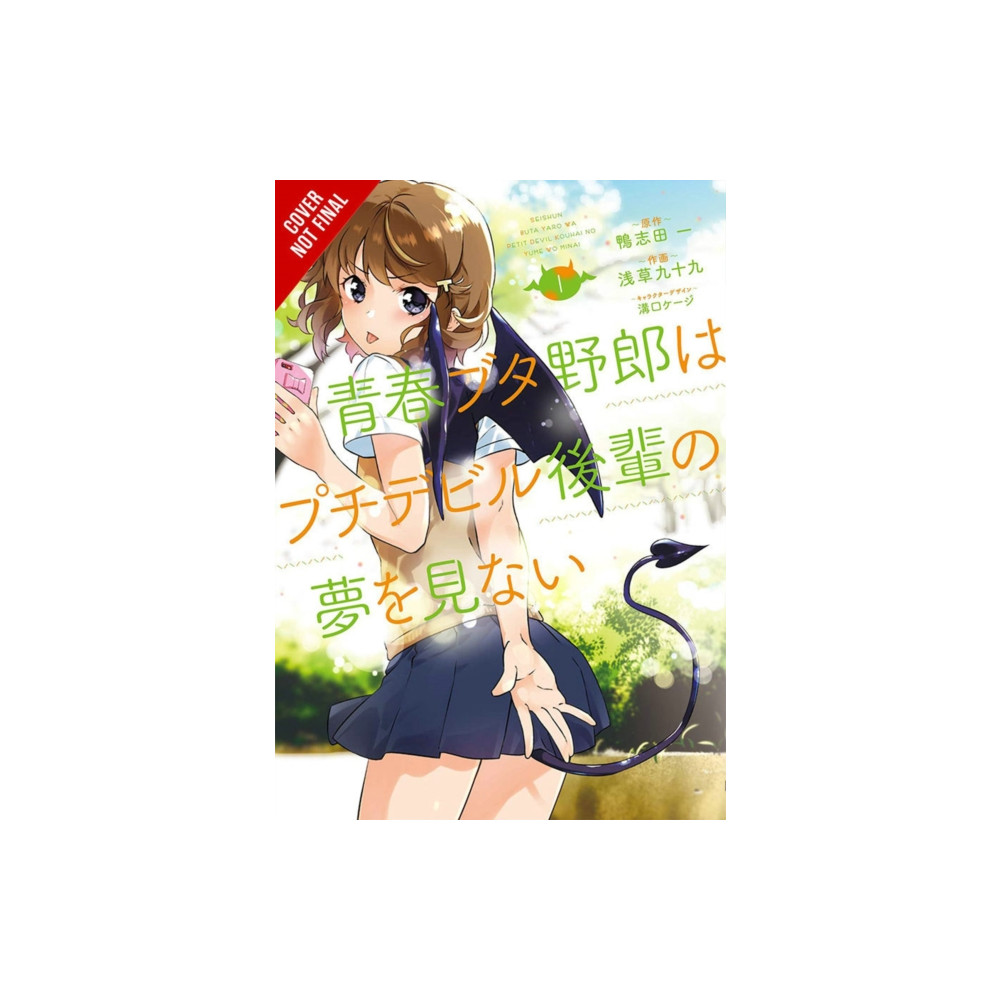 Produktbild för Rascal Does Not Dream of Petite Devil Kohai (manga) (häftad, eng)