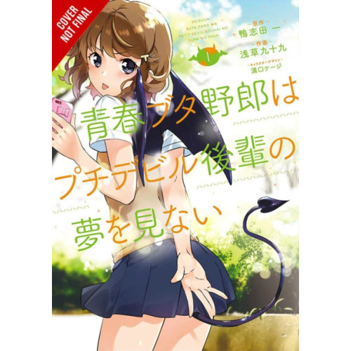 Little, Brown & Company Rascal Does Not Dream of Petite Devil Kohai (manga) (häftad, eng)