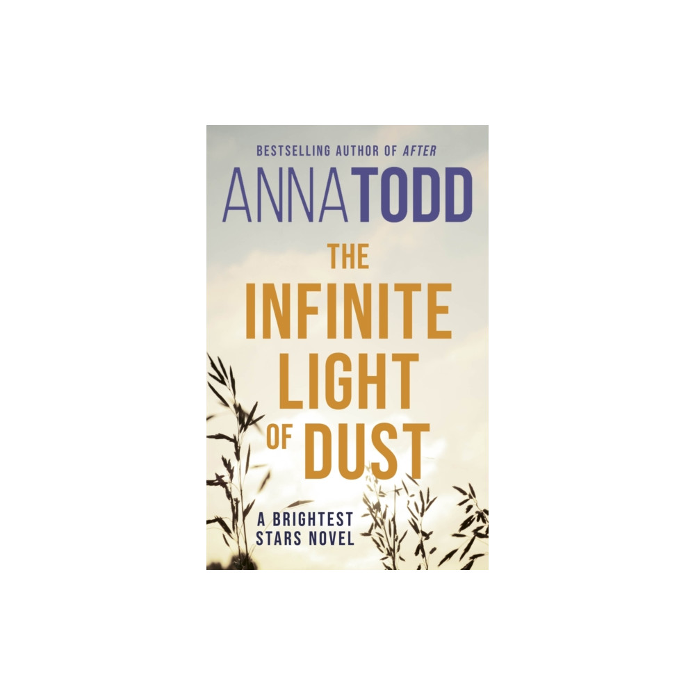 Produktbild för The Infinite Light of Dust (häftad, eng)