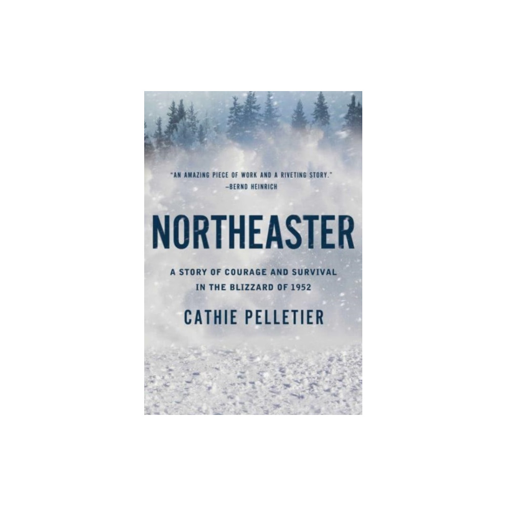 Produktbild för Northeaster (häftad, eng)