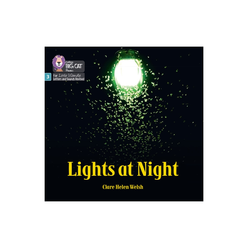 Produktbild för Lights at Night (häftad, eng)