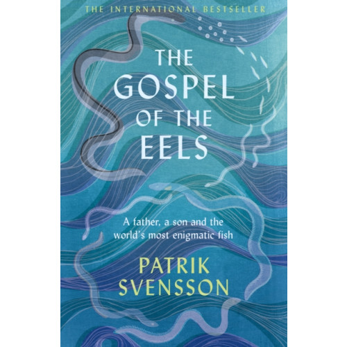 Pan Macmillan The Gospel of the Eels (häftad, eng)