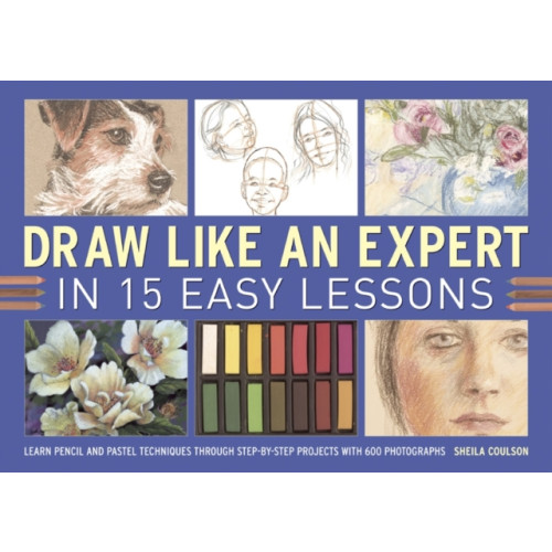 Anness publishing Draw Like an Expert in 15 Easy Lessons (bok, spiral, eng)