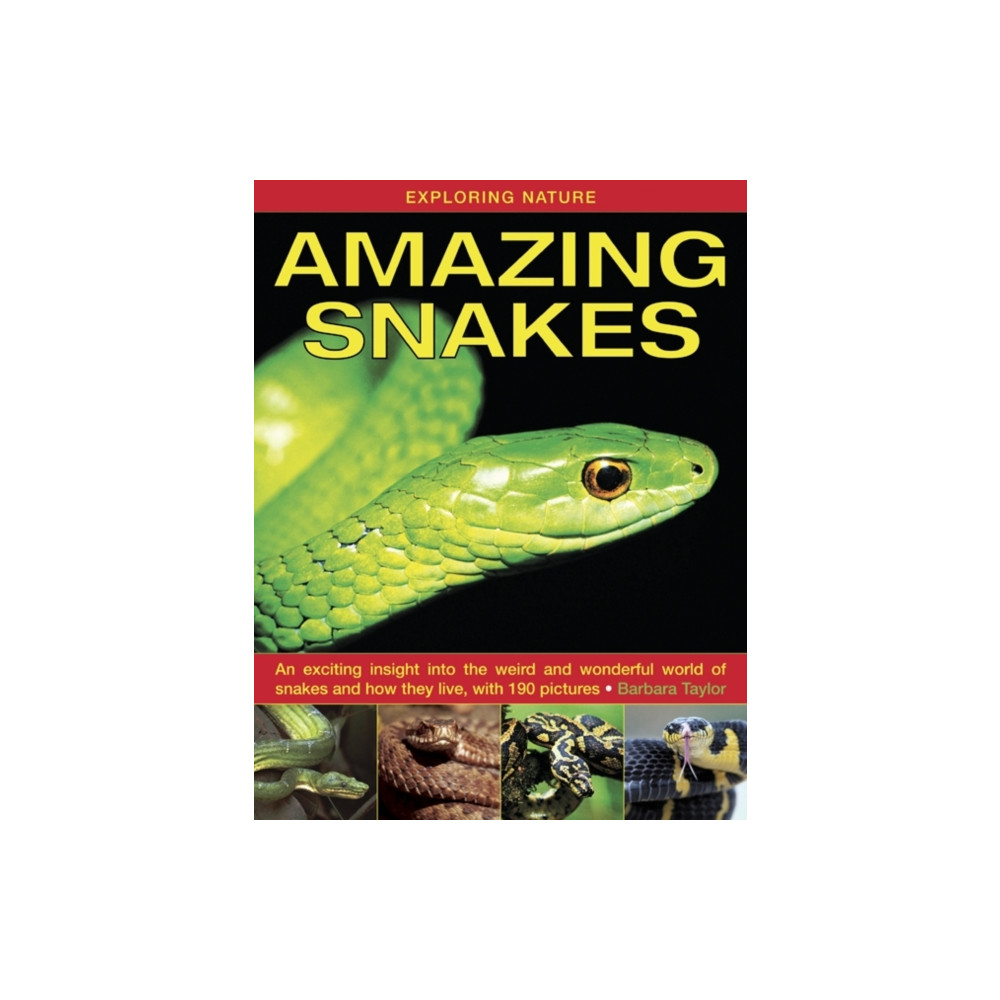 Produktbild för Exploring Nature: Amazing Snakes (inbunden, eng)