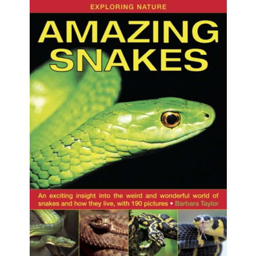 Anness publishing Exploring Nature: Amazing Snakes (inbunden, eng)