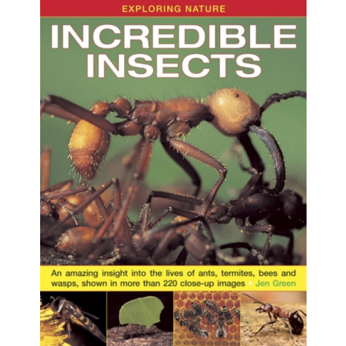 Anness publishing Exploring Nature: Incredible Insects (inbunden, eng)