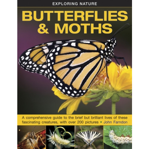 Anness publishing Exploring Nature: Butterflies & Moths (inbunden, eng)