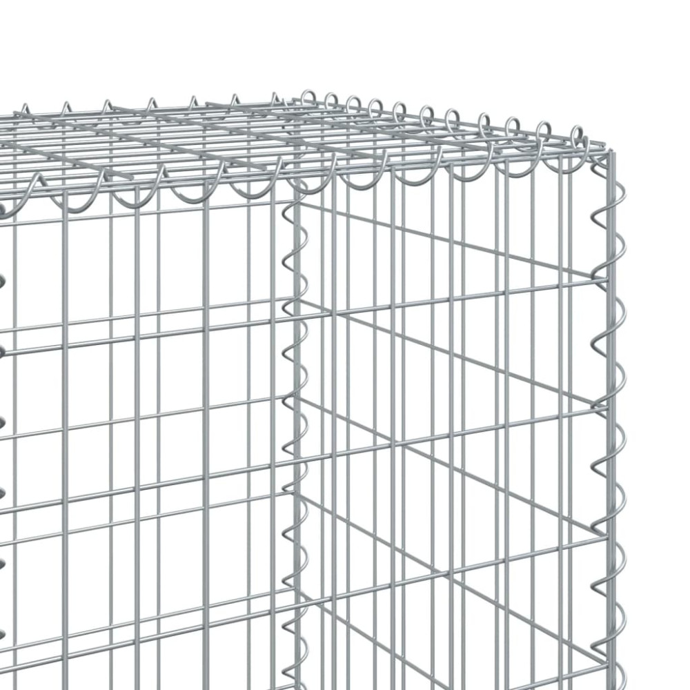 Produktbild för Gabionkorg med skydd 100x50x150 cm galvaniserat järn