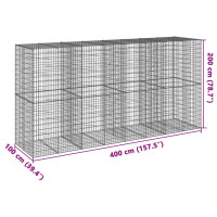 Produktbild för Gabionkorg med skydd 400x100x200 cm galvaniserat järn