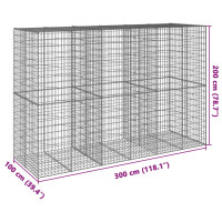 Produktbild för Gabionkorg med skydd 300x100x200 cm galvaniserat järn