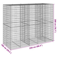 Produktbild för Gabionkorg med skydd 250x100x200 cm galvaniserat järn