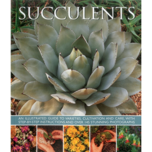 Anness publishing Succulents (inbunden, eng)