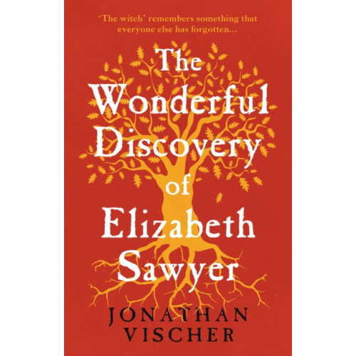 The Book Guild Ltd The Wonderful Discovery of Elizabeth Sawyer (häftad, eng)