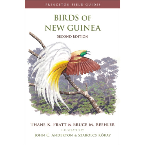 Princeton University Press Birds of New Guinea (häftad, eng)