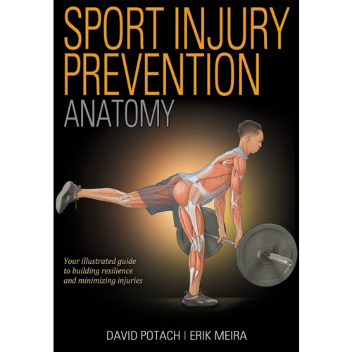 Human Kinetics Publishers Sport Injury Prevention Anatomy (häftad, eng)