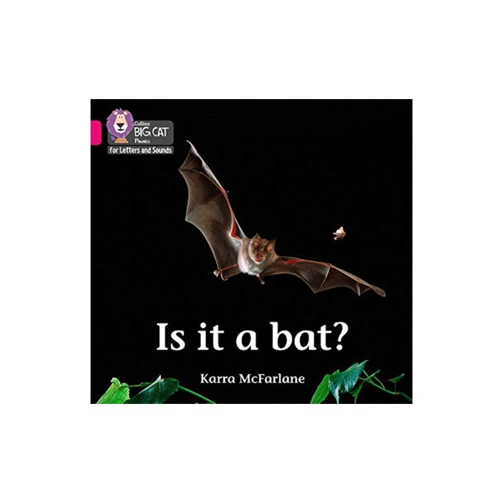 Produktbild för Is it a Bat? (häftad, eng)