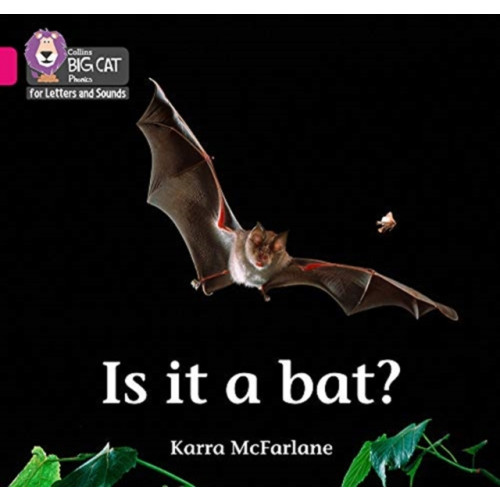 HarperCollins Publishers Is it a Bat? (häftad, eng)