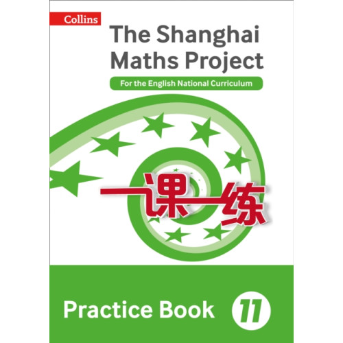 HarperCollins Publishers Practice Book Year 11 (häftad, eng)