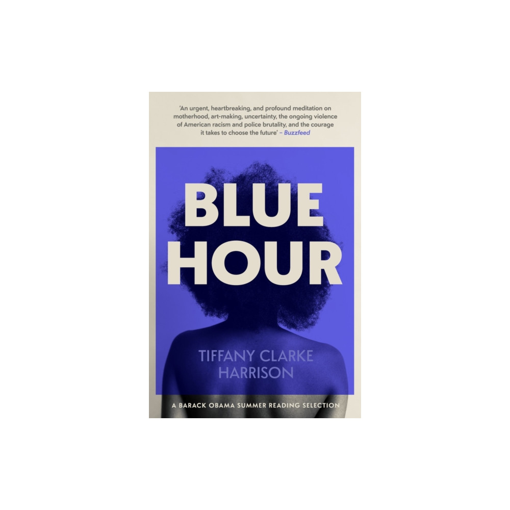 Produktbild för Blue Hour (häftad, eng)