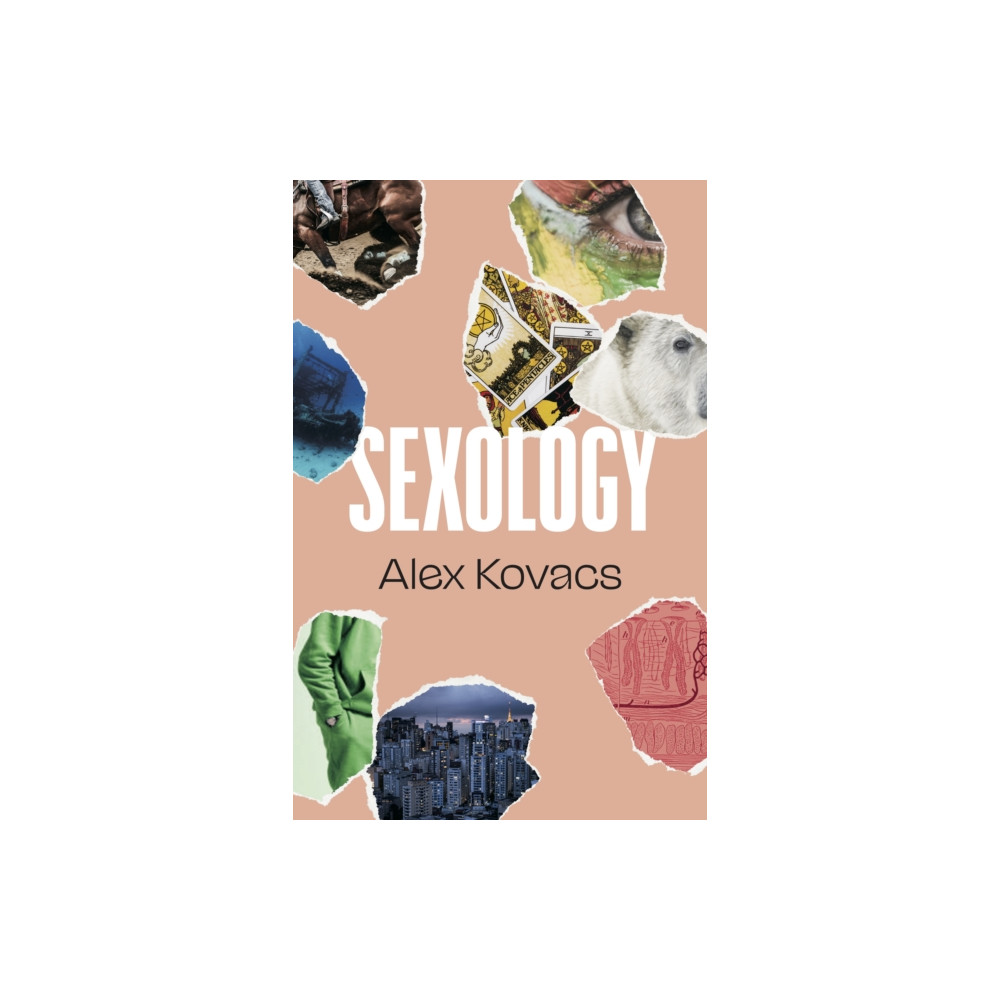 Produktbild för Sexology (häftad, eng)