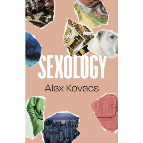 Dalkey Archive Press Sexology (häftad, eng)