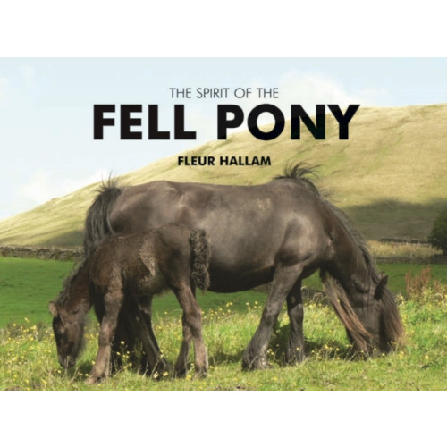 Halsgrove The Spirit of the Fell Pony (inbunden, eng)