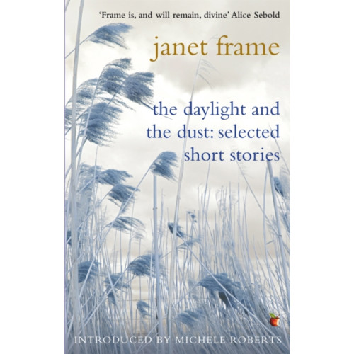 Little, Brown Book Group The Daylight And The Dust: Selected Short Stories (häftad, eng)