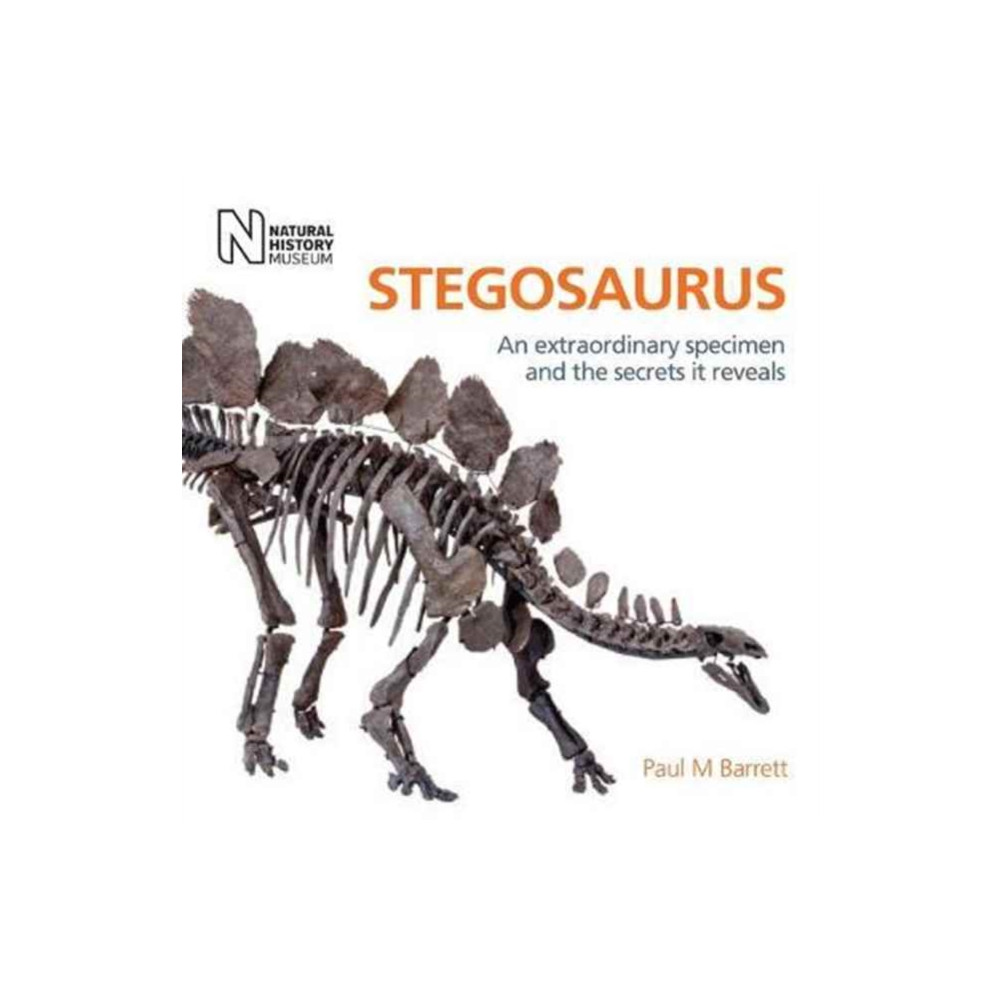 Produktbild för Stegosaurus (inbunden, eng)
